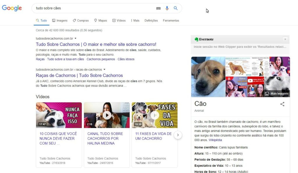 pesquisar palavra chave no google 2